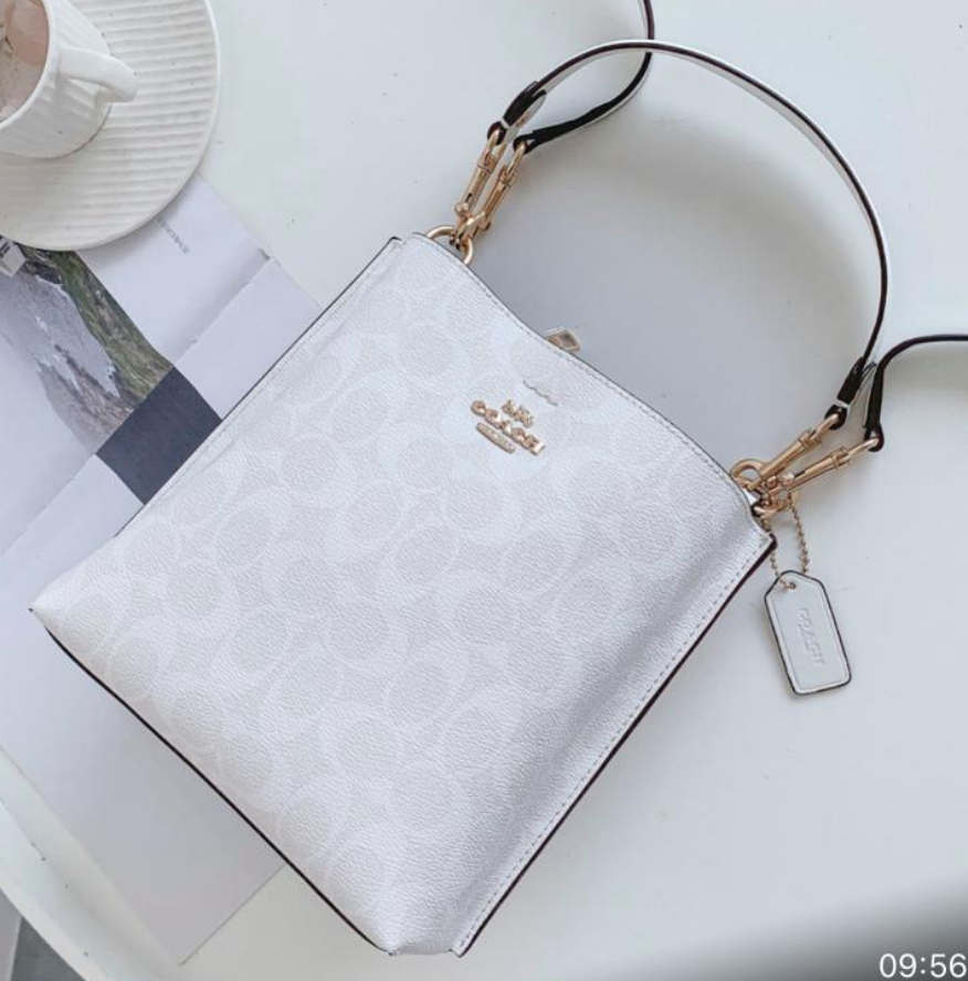 [✨Rose💎】CA GRAY & WHITE BAGS EXCLUSIVE LINK