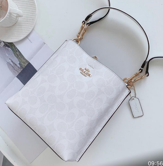[✨Rose💎】CA GRAY & WHITE BAGS EXCLUSIVE LINK