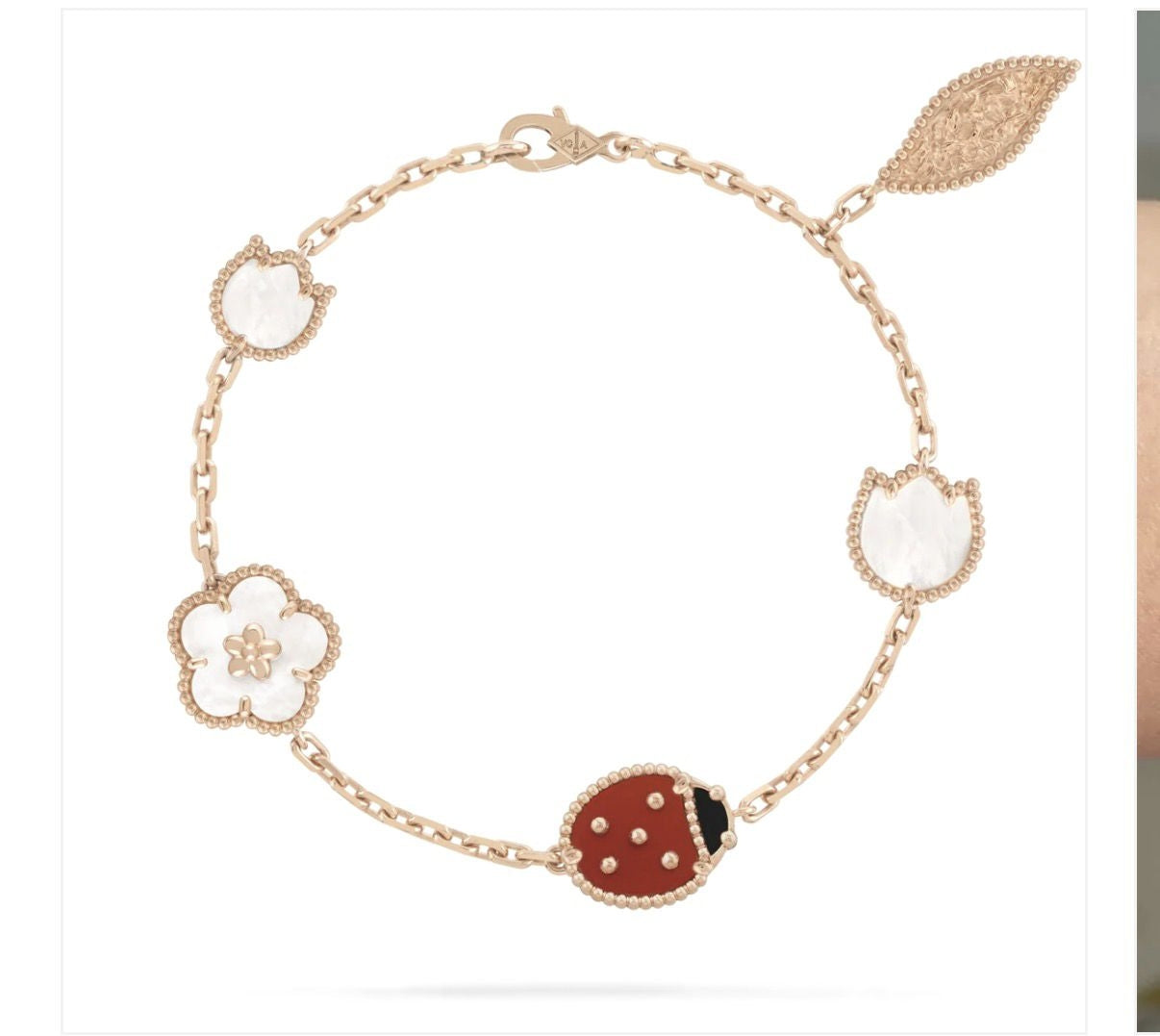 [✨Rose💎】Rose Gold Set Link